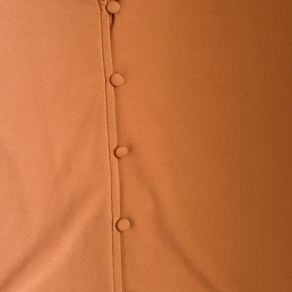 Canon Ruffled Button-Down Brown Blouse - Picture 4 of 4